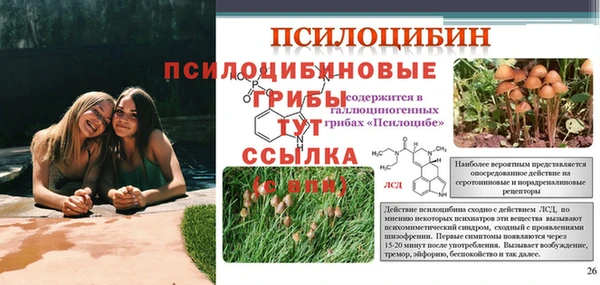 экстази Ростов