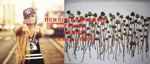 гашик Протвино
